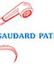 Gaudard Patrice Bild 1