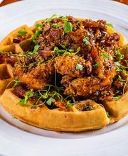 YOT Bar & Kitchen image 19