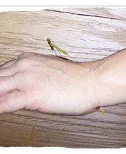 Rupprecht Doris Bild 3