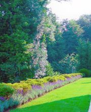 Christian Graf Gartengestaltung Bild 1