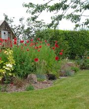 Julien Entretien Service image 3