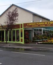 Central fleurs image 9