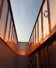 Tetti Forster Bild 7