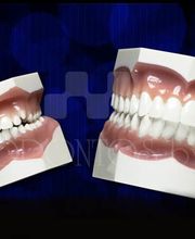Orthotec BV