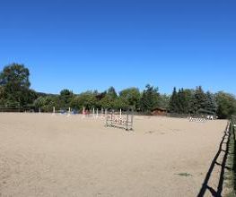 Reitschule Lautlos Bild 9