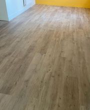 Leplongeon Sols Peinture image 2