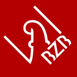 BZB Basler Zentrum für Bildung | Privatschule