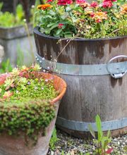 Entreprise de Demolition SA Bild 9