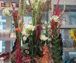 Blumen Dahlmann Bild 18