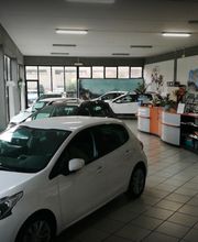 Gallery Cliente