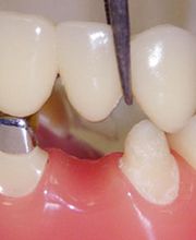 Denis A. Quagliariello DMD image 1