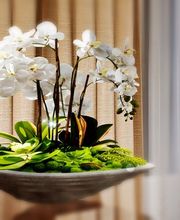 Heike Matuschewski - Interior Design Bild 3