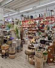 Rofu Kinderland Homburg Bild 8