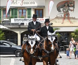 Reitstall Bühl Bild 4
