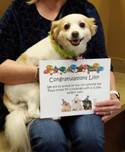 Parkwood Animal Hospital & Boarding image 18