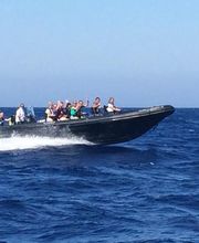 Porto Linéa Excursions Maritimes image 6