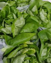 Biohof Schär Matthias & Corinne Bild 3