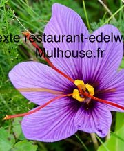 Restaurant Edelweis image 1