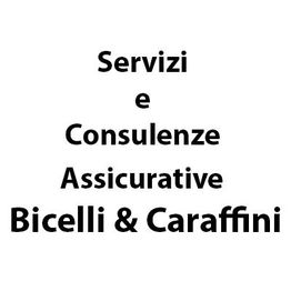 Servizi e Consulenze Assicurative di Bicelli Elisabetta & C. sas logo