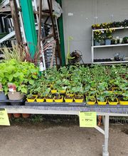 Point Vert Valcadis image 7