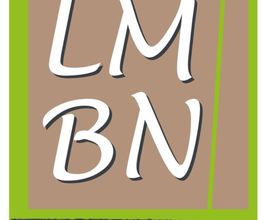 LM-BN image 5