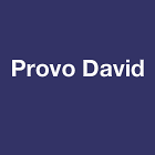 Provo David