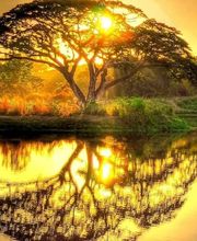 Gwenael le Bihan image 2