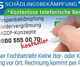 Klavier Zähringer Bild 2