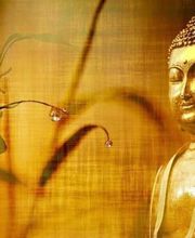 Collet-Maussan Christelle image 8