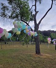 Zeitlos Bestattungen OHG Bild 3