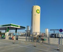 bp imagen 3