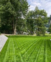 Green and Co Paysages Sàrl Bild 1