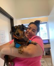 Irvine Valley Veterinary Hospital image 11