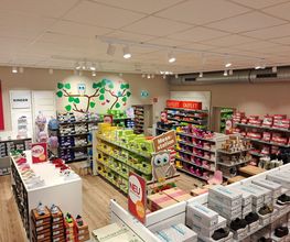 RENO Bild 11