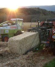 Freudiger Lohnunternehmen Bild 9