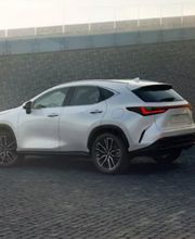 Lexus Préférence SAS Eric Cheli image 2