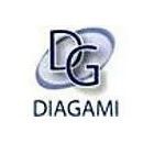 Diagami Expertise