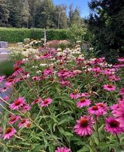 Vogel Gartenbau AG Bild 6