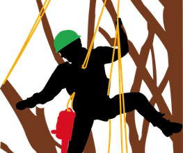 Elag'services image 1