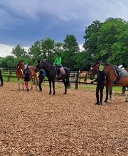 Reitschule Katja Seba Bild 1