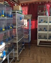 Gallery Cliente
