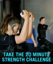 BODY20 - Brookhaven image 4