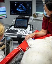 Tierarzt Celle, Tierärztliche Praxis an der Aller Bild 14