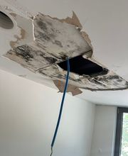 BlerGoni Sàrl Bild 1