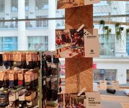 Globetrotter Dortmund Bild 13