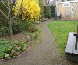 Hoveniersbedrijf Rozendaal