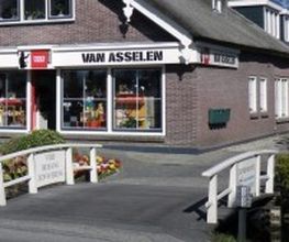 Verf en wand van Asselen