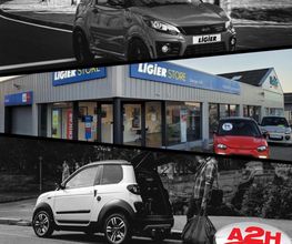 A2H Ligier Store image 11