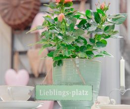 Blumen Deko Kreativ Mareen Weiske-Schuh Bild 3