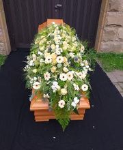 Blumen Dahlmann Bild 8